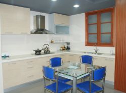 Lacquer Kitchen Cabinet