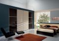 Italian Modern Closets
