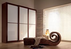Contemporary Closets