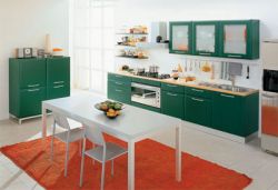 Vivid Kitchen Cabinet