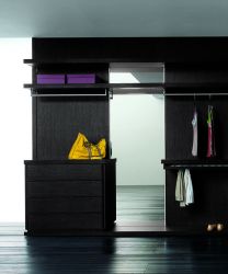 Customized Closets