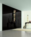 Contemporary Closets