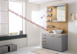 Stainless Steel Bathroom Cabinets