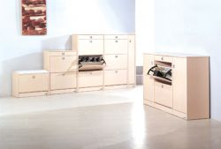 Shoe Cabinets