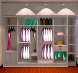 Closet Organization Systems